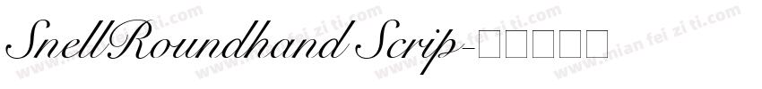 SnellRoundhand Scrip字体转换